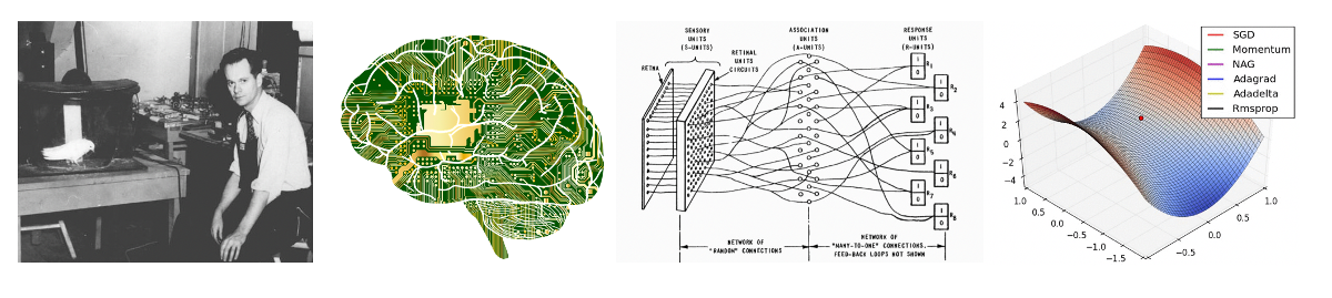 Image illustrating behaviorism, cognitivism, connectionism, and algorithmic modeling