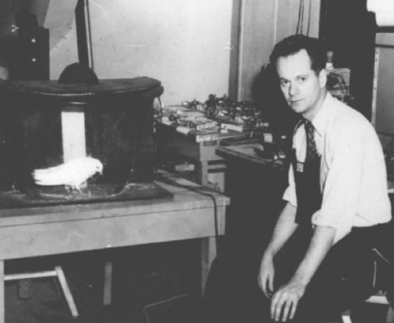 Photograph of B.F. Skinner and a caged pigeon